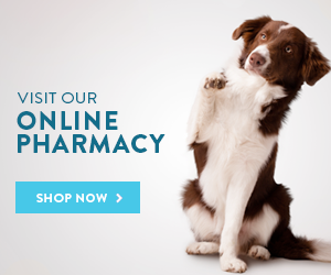 Online Pharmacy